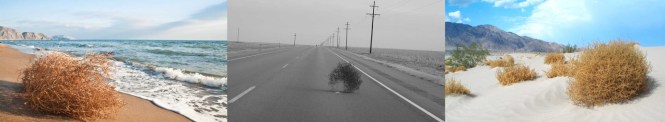 tumbleweed.jpg